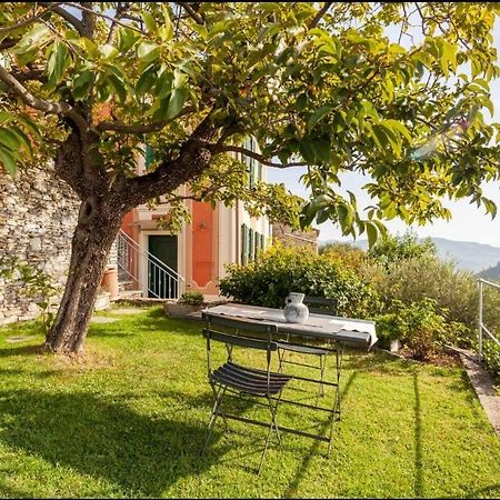 Rosso Su Portofino Lejlighed Chiavari Eksteriør billede